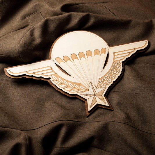 French Paratrooper Wooden Wall Light - Vintage Retro Militaria Decoration French Army Painting - Vintage Retro Para Veteran Gift