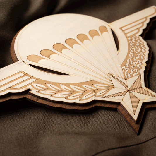 French Paratrooper Wooden Wall Light - Vintage Retro Militaria Decoration French Army Painting - Vintage Retro Para Veteran Gift