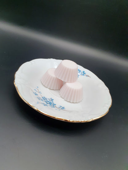 Le Fondant - Lot de 3 fondants de cire de soja parfumés - 3x10g
